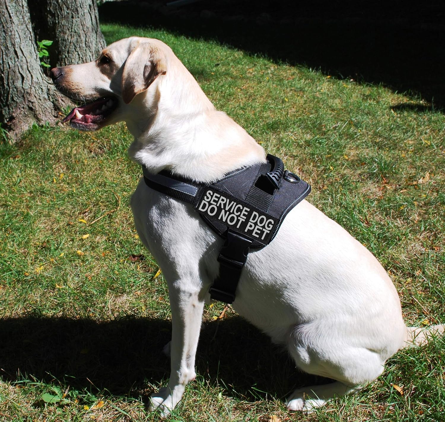 Service Dog Harness Vest Comes with 2 Reflective Service Dog DO NOT PET Removable Patches. Please Measure Dog before Ordering (Girth 12-16", Black)