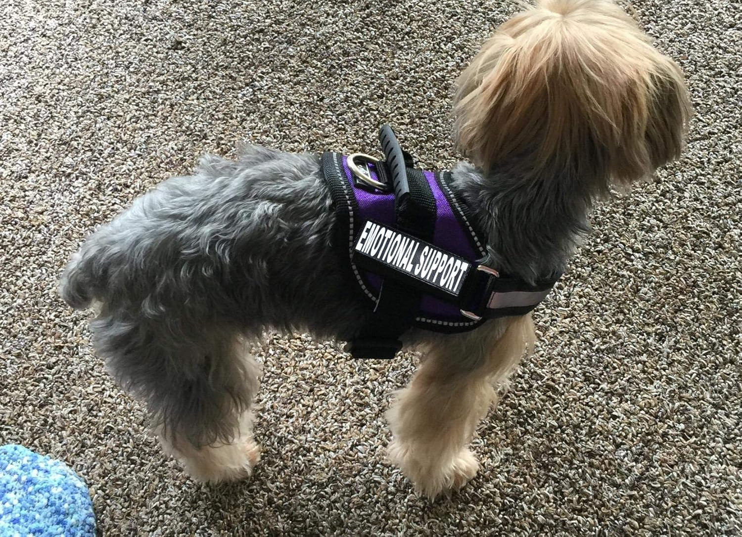 Emotional Support Dog Vest with 2 Free Hook and Loop Removable Emotional Support Animal Patches, Reflective Lightweight Cool Soft Adjustable K9 Harness (Girth 12”- 16" Purple)