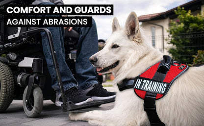 Service Dog in Training Vest - Adjustable No Pull Dog Harness with Patches. in Training Dog Vest for Service Dogs Small, Medium and Large Easy On/Off Dog in Training Harness for Service Dog Training