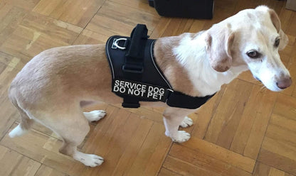 Service Dog Harness Vest Comes with 2 Reflective Service Dog DO NOT PET Removable Patches. Please Measure Dog before Ordering (Girth 12-16", Black)