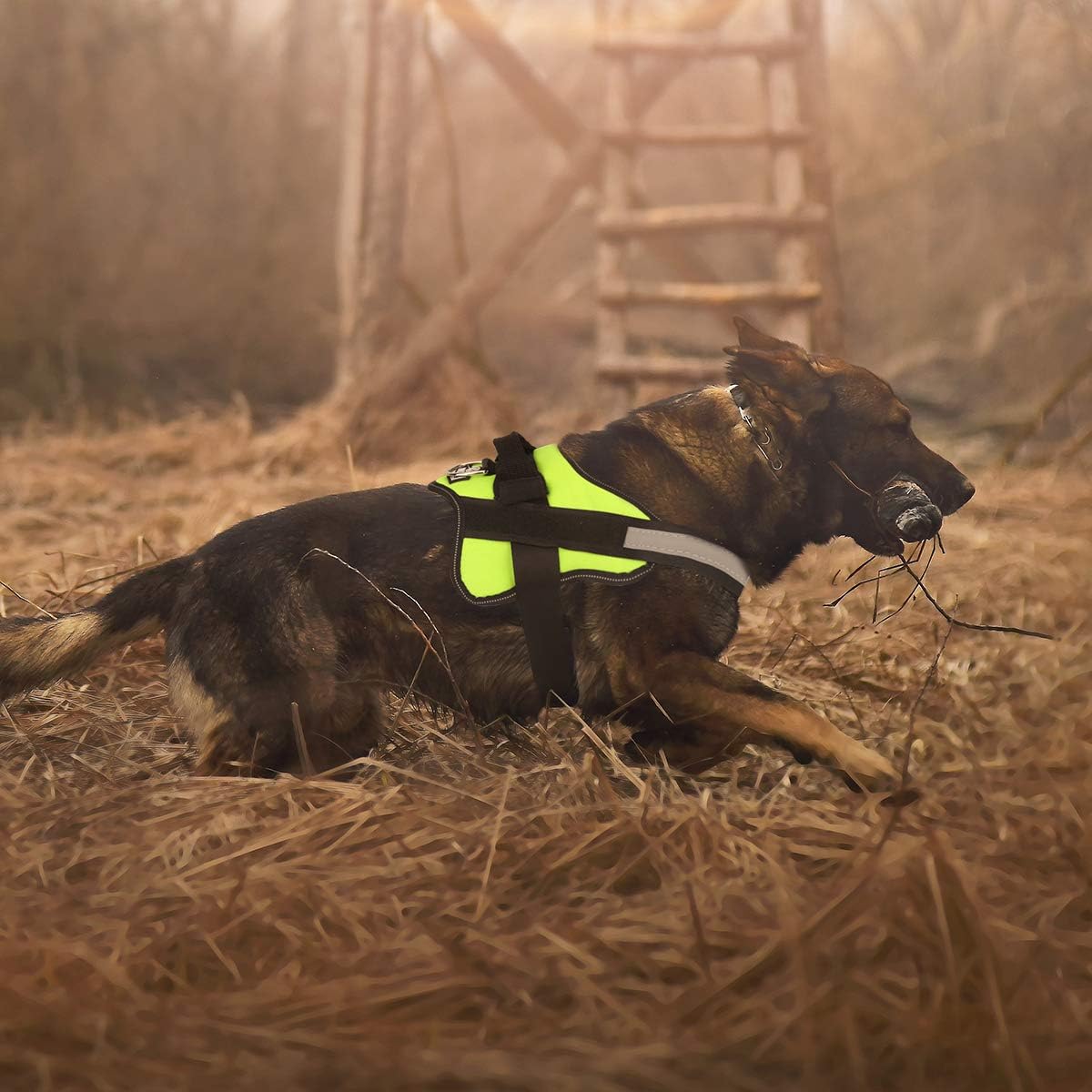 No-Pull Reflective Dog Harness - Adjustable and Breathable Vest with Handle for Outdoor Walking (Green, M)