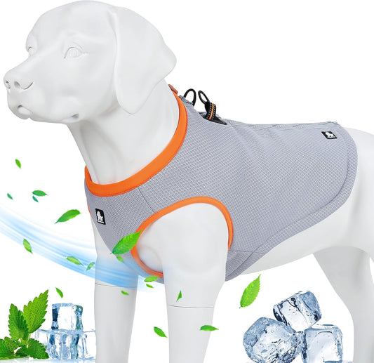 Truelove Adjustable Dog Cooling Vest Harness for Outdoor Activities and Training