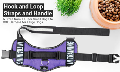 Service Dog in Training Vest - Adjustable No Pull Dog Harness with Patches. in Training Dog Vest for Service Dogs Small, Medium and Large Easy On/Off Dog in Training Harness for Service Dog Training