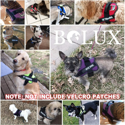 No-Pull Reflective Dog Harness - Adjustable and Breathable Vest with Handle for Outdoor Walking (Green, M)