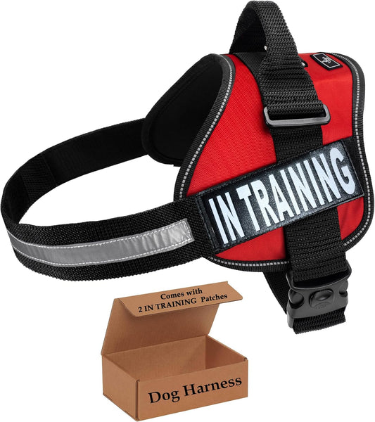 Service Dog in Training Vest - Adjustable No Pull Dog Harness with Patches. in Training Dog Vest for Service Dogs Small, Medium and Large Easy On/Off Dog in Training Harness for Service Dog Training