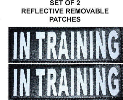 Service Dog in Training Vest - Adjustable No Pull Dog Harness with Patches. in Training Dog Vest for Service Dogs Small, Medium and Large Easy On/Off Dog in Training Harness for Service Dog Training