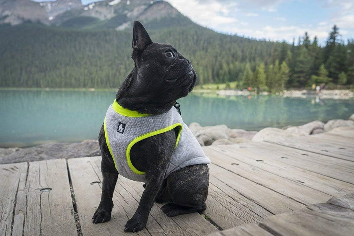 Truelove Adjustable Dog Cooling Vest Harness for Outdoor Activities and Training