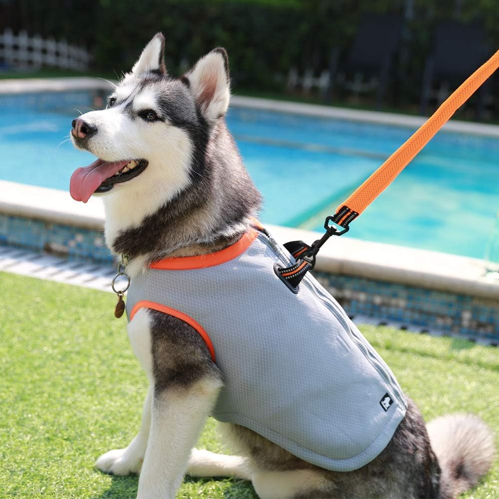 Truelove Adjustable Dog Cooling Vest Harness for Outdoor Activities and Training